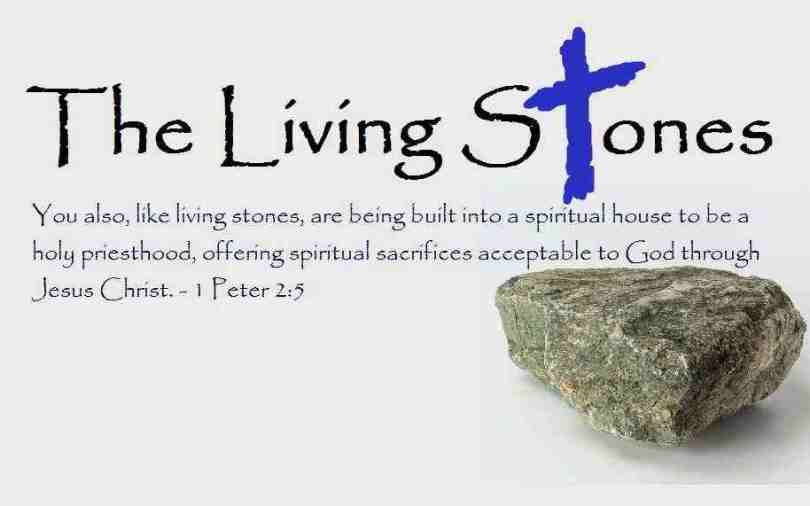 Living-Stones-icon image 3
