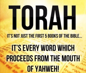 Image result for TORAH is every word which proceeds from the mouth of YAHUVEH images