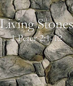 living-stones image 1